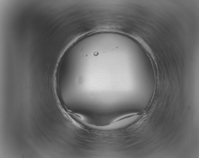 X0000075411341200610061947