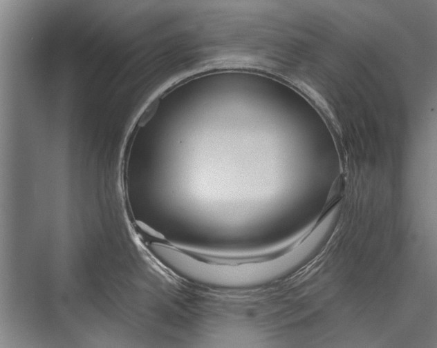 X0000075411342200610061947