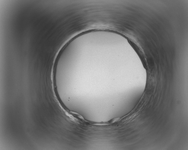 X0000075411343200610061947