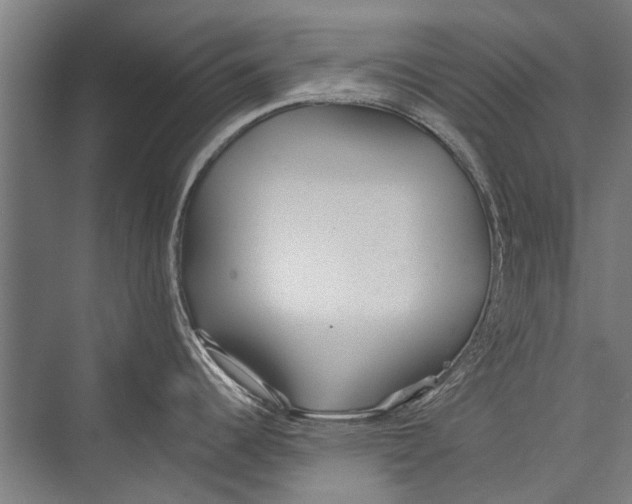 X0000075411344200610061947