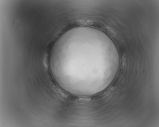 X0000075411346200610061947