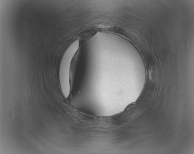 X0000075411347200610061947