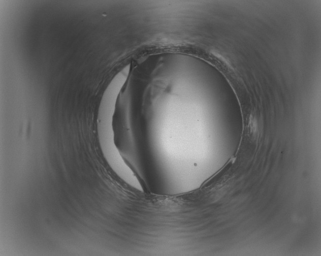 X0000075411348200610061947