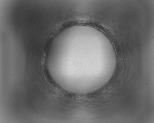 X0000075411349200610061947