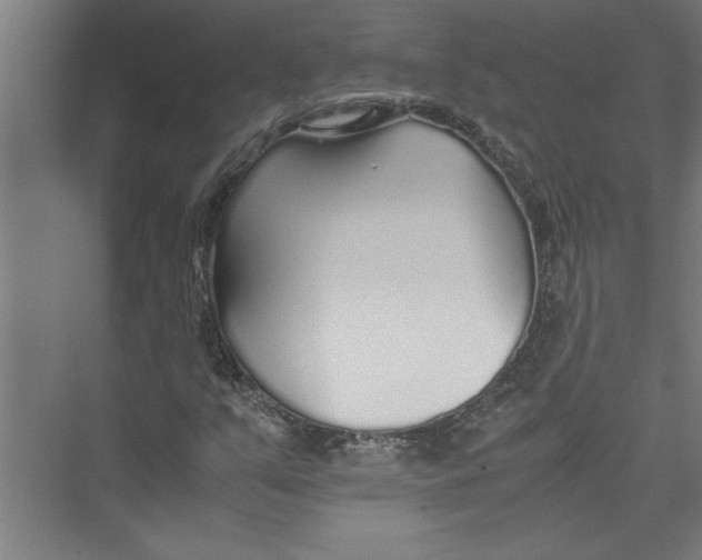 X0000075411351200610061947