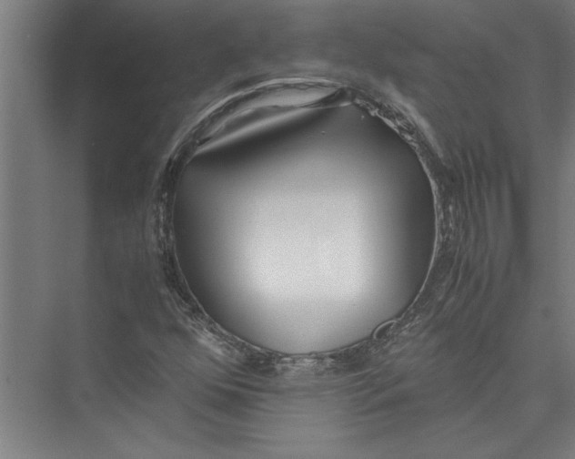 X0000075411352200610061947