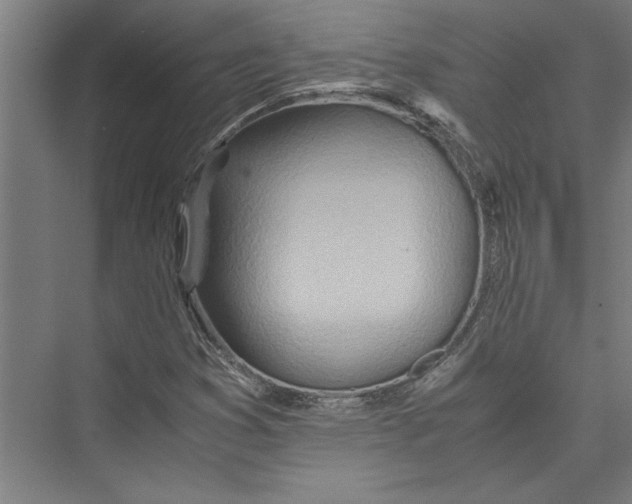 X0000075411353200610061947