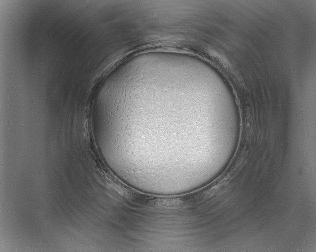 X0000075411354200610061947