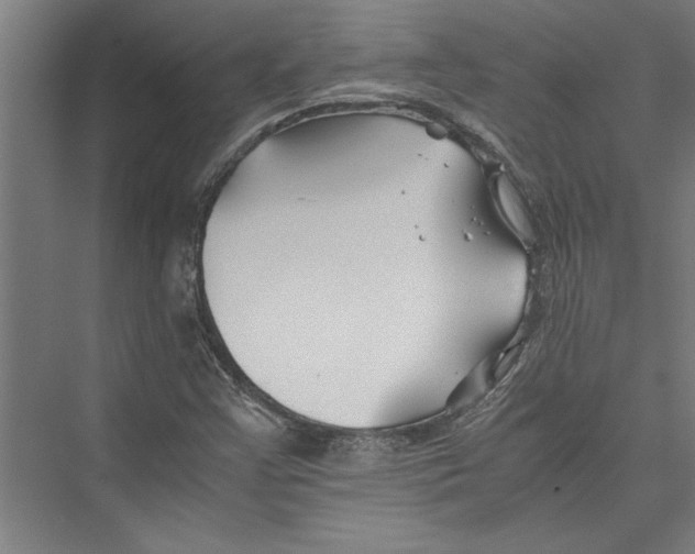 X0000075411355200610061946