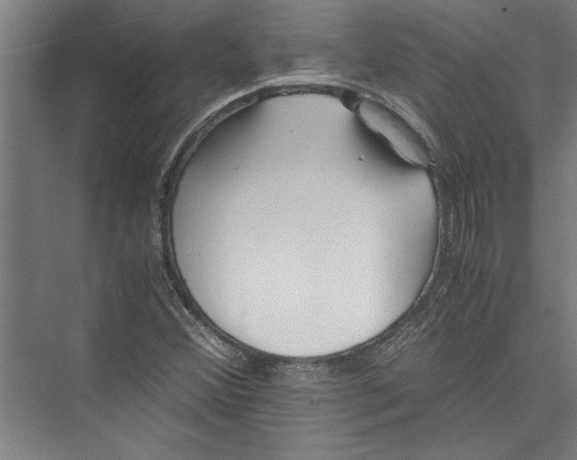 X0000075411356200610061946