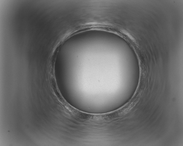 X0000075411357200610061946