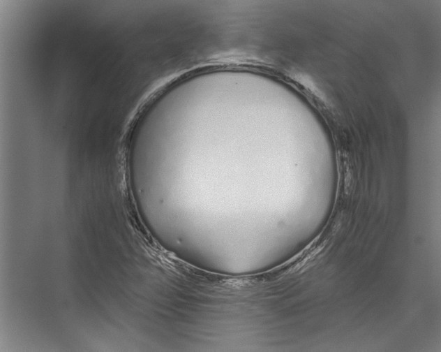 X0000075411358200610061946