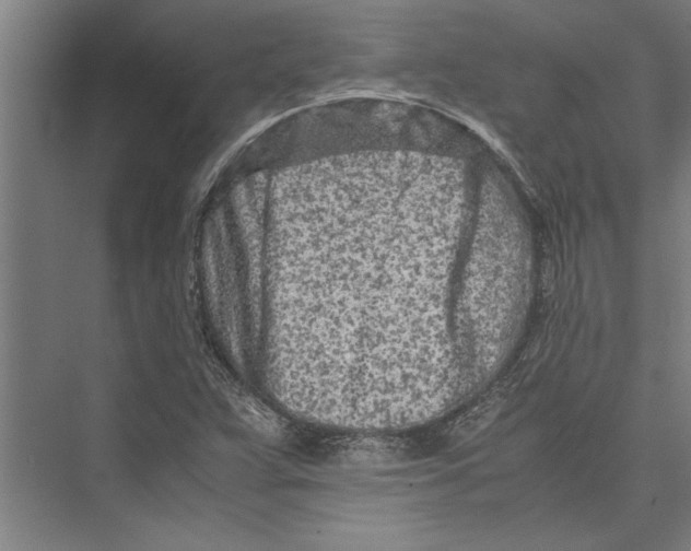 X0000075411359200610061946