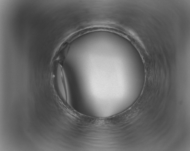 X0000075411360200610061946