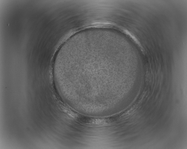 X0000075411362200610061946