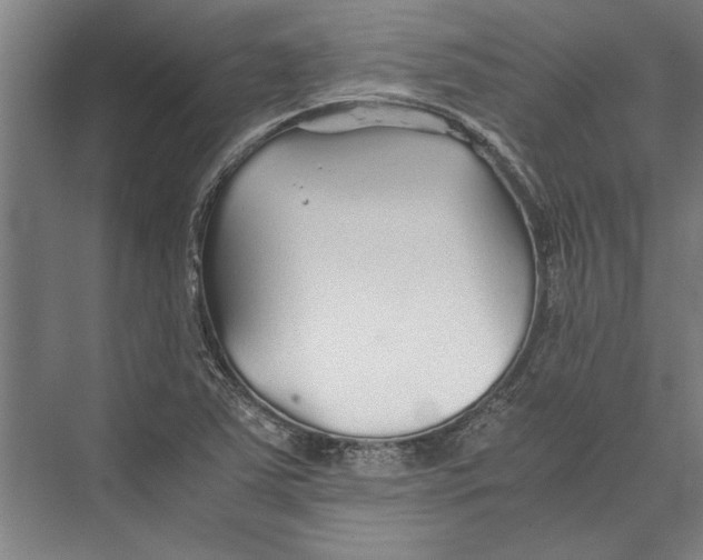 X0000075411363200610061946