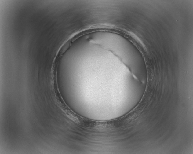 X0000075411364200610061946