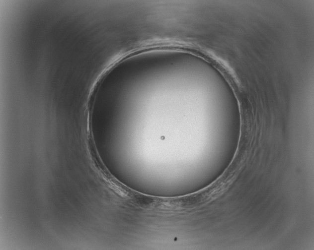 X0000075411365200610061946