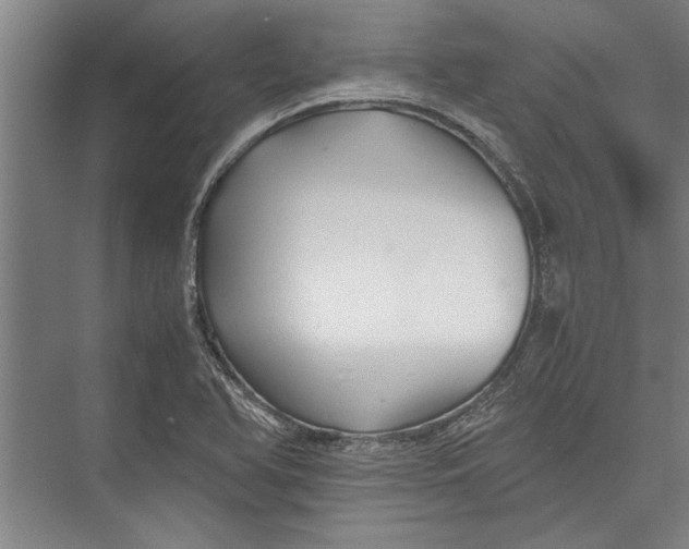 X0000075411366200610061946