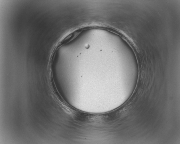 X0000075411367200610061946