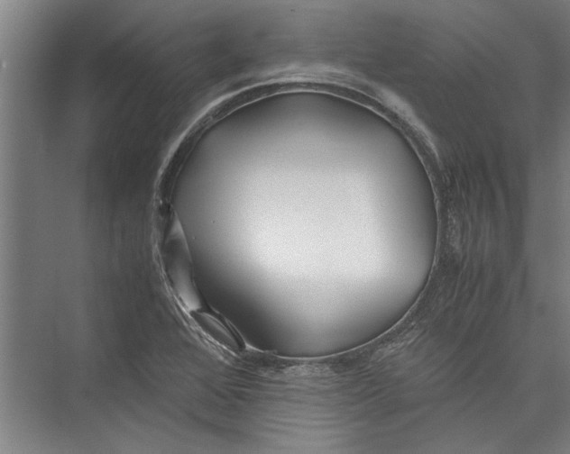 X0000075411368200610061946