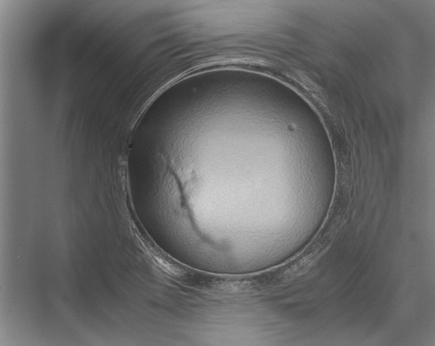 X0000075411369200610061946