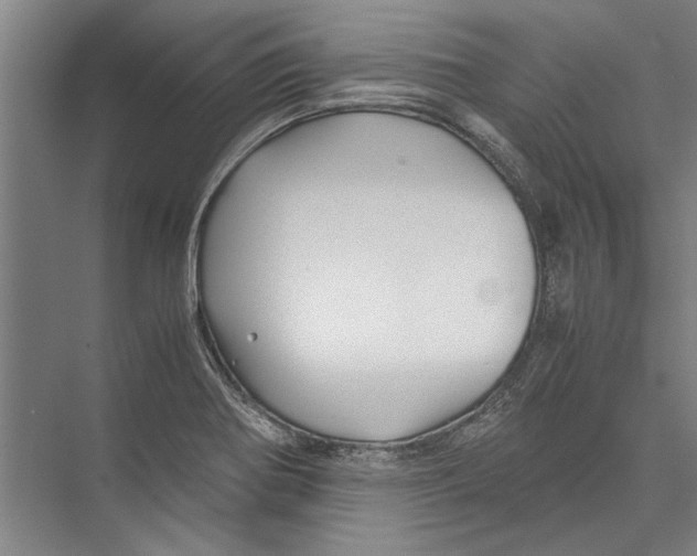 X0000075411370200610061946