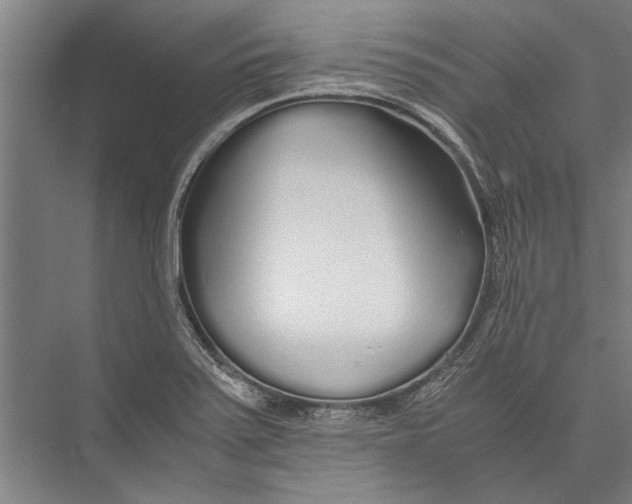 X0000075411371200610061946