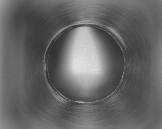 X0000075411372200610061946