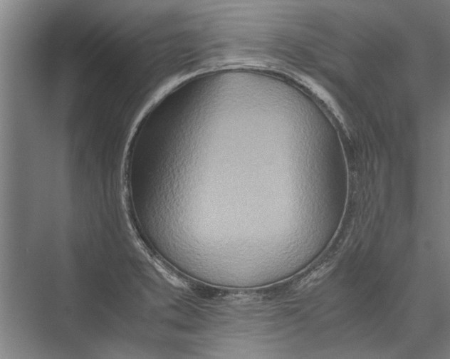 X0000075411373200610061946