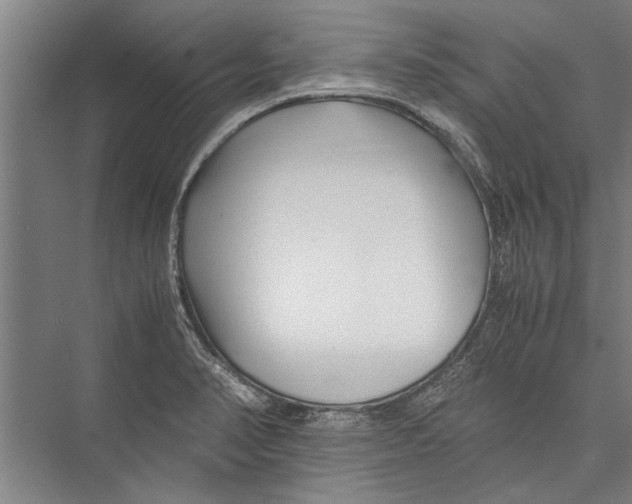 X0000075411374200610061946