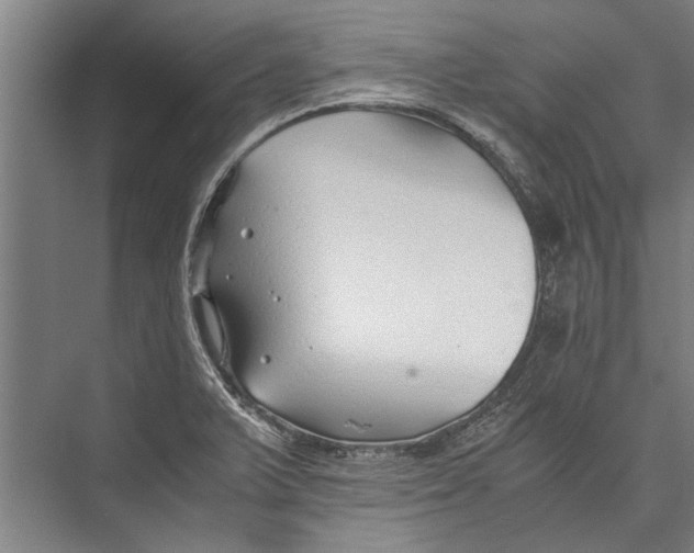 X0000075411375200610061946