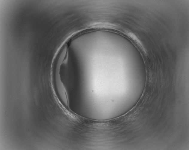 X0000075411376200610061946