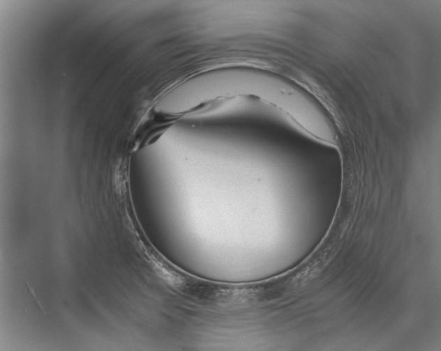 X0000075411377200610061946