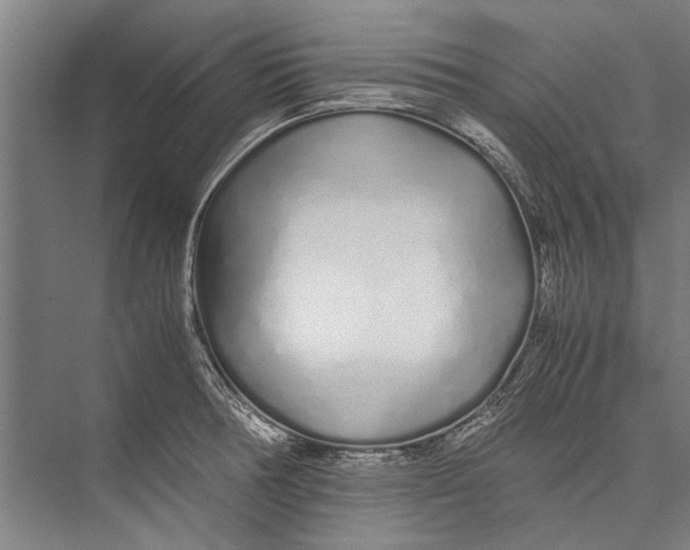 X0000075411378200610061946