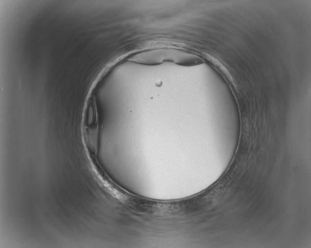 X0000075411379200610061946