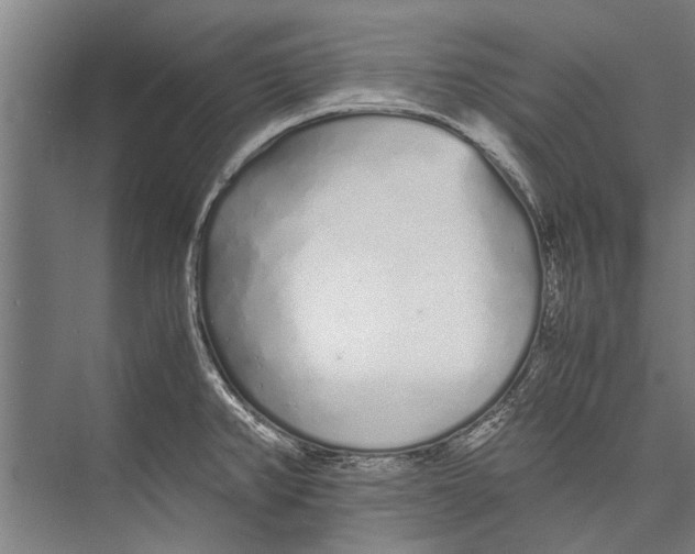 X0000075411382200610061946