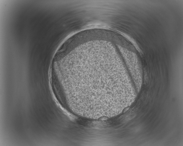 X0000075411383200610061946