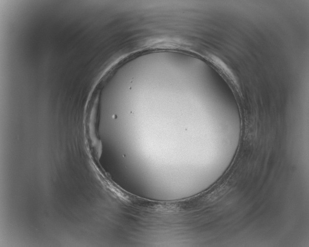 X0000075411384200610061946