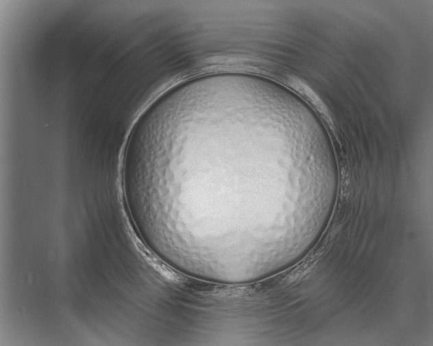 X0000075411386200610061946