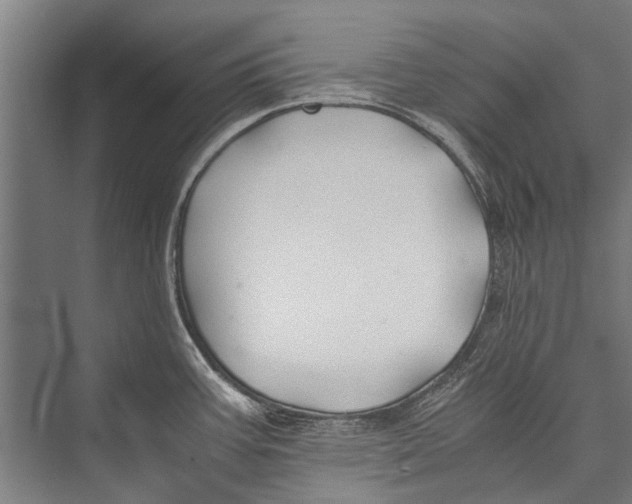 X0000075411387200610061946