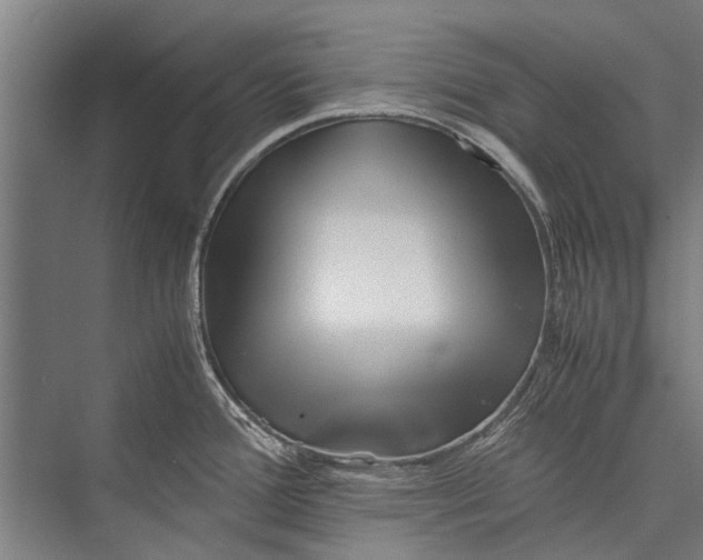 X0000075411388200610061946