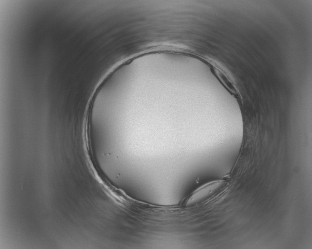 X0000075411391200610061946