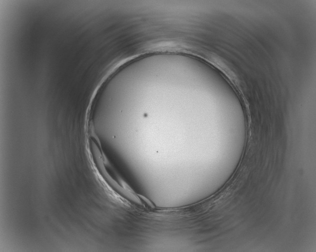 X0000075411392200610061946