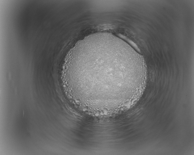 X0000075411393200610061945