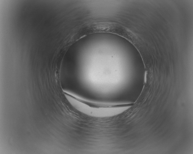 X0000075411394200610061945