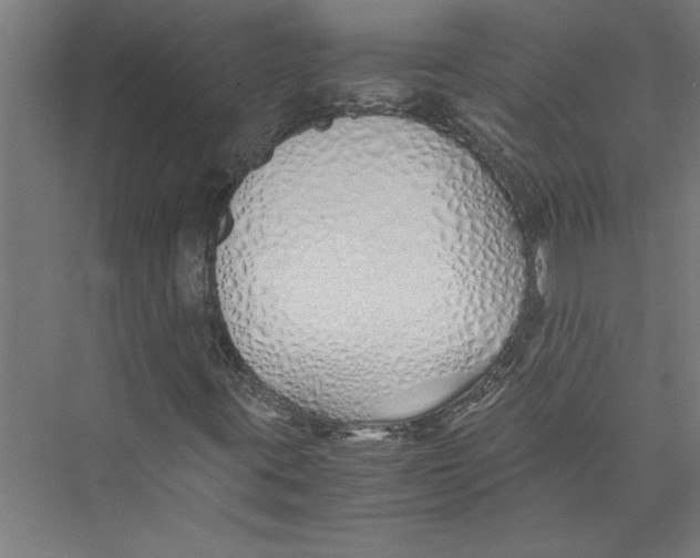 X0000075411395200610061945