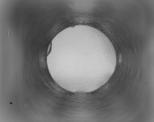 X0000075411396200610061945