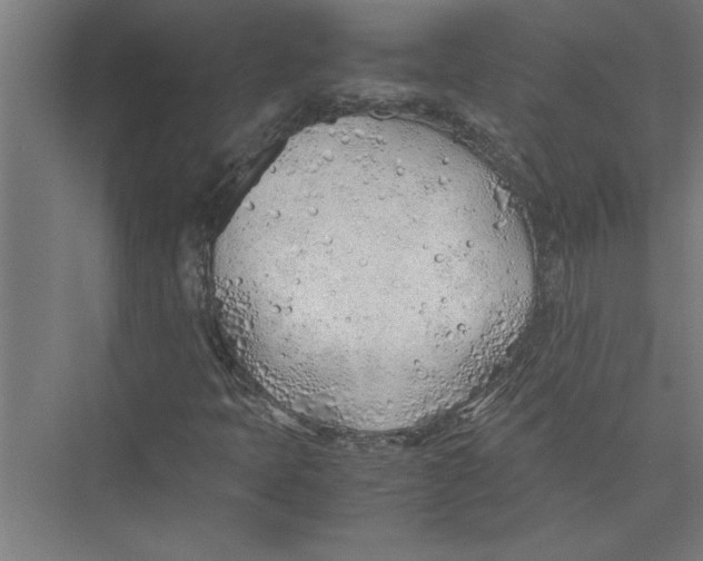 X0000075411397200610061945