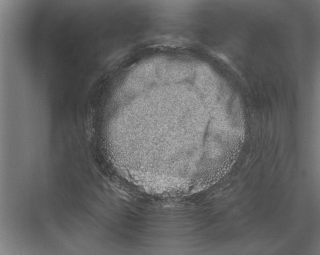 X0000075411399200610061945